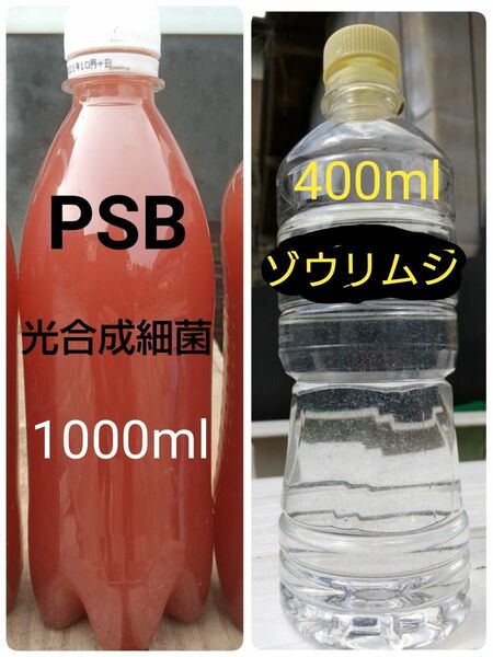 PSB(光合成細菌)1000ml＆ゾウリムシ　400ml　。　メダカ　グリーンウォーター　金魚