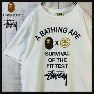 【入手困難】STUSSY ステューシー A BATHING APE ア ベイシング エイプ コラボ 半袖 Tシャツ SSリンク ホワイト レア Lサイズ 日本製