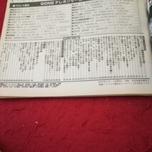 d-325 週刊ゴング 闘魂&カリスマ始動!! プロレス五輪 プロレス レスラー 格闘技 写真集 カラー 1996年発行 日本スポーツ出版社※5_画像4