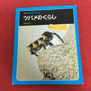 f-048 科学のアルバム37 ツバメのくらし 菅原光ニ 著 あかね書房 1986年4月発行 燕 観察 産卵 巣作り 成長 子ども 知育 学習図鑑 ※5