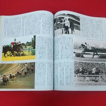 h-002※5 優駿 1991年3月号 平成3年3月1日発行 日本中央競馬会 時代が語るヒーロー像「オグリキャップとハイセイコー」 新・三強の時代_画像7