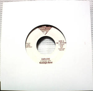 試聴 US 7inch. AOR フリーソウル NOSTALGIA BAND / WHAT ARE YOU GONNA DO WITH IT □disco soul funk45 rare groove サバービア