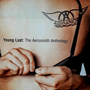 2CD エアロスミス Young Lust: The Aerosmith Anthology BEST 2枚組 ベスト 2001年 EU盤 Dream On / Sweet Emotion (Live)