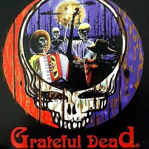 CD Pickin On The Grateful Dead 2 グレイトフル・デッド tribute Folk World Country Bluegrass カバー集 Box of Rain 2000年 US盤