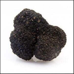 * world three large delicacy![himalaya production! black truffle freezing goods ] approximately 500g... that fragrance!himalaya production. black truffle!5kg till uniform carriage . we deliver!