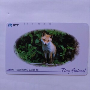 Thai колено животное ... телефонная карточка телефонная карточка 50 частотность не использовался 
