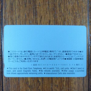 桜の弘前城 テレホンカード テレカ 50度数 未使用の画像2