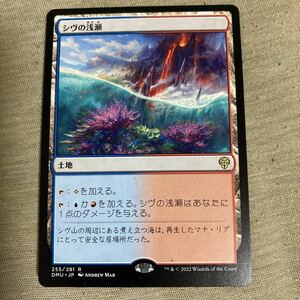 MTG ■土地/日本語版■ 《シヴの浅瀬/Shivan Reef》団結のドミナリア DMU