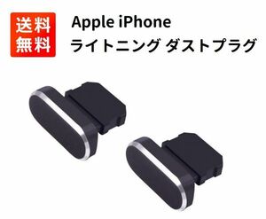 【新品】【2個入】アルミニウム製 保護キャップ iPhone X Xs Max Xr 8 7 6S 6 Plus 適応 ライトニング充電口 コネクタ ダストプラグ E340