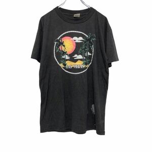 MILLER 半袖 プリントTシャツ L ブラウン ホワイト グリーン オレンジ ミラー アメリカ製 ヤシの木 太陽 山 古着卸 アメリカ仕入 a508-5793