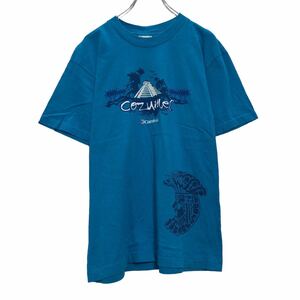 Carnival 半袖 プリントTシャツ S ブルー ホワイト カーニバル 古着卸 アメリカ仕入 a508-5632