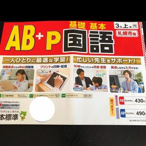 1162 AB＋P国語 ３年 日本標準 非売品 小学 ドリル 問題集 テスト用紙 教材 テキスト 解答 家庭学習 計算 漢字 過去問 ワーク 文章