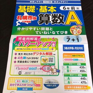 1213 基礎基本算数A 6年 文溪堂 算数 非売品 小学 ドリル 問題集 テスト用紙 教材 テキスト 解答 家庭学習 計算 漢字 過去問 ワーク 文章