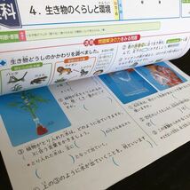 1366 理科N 6年 文溪堂 植物 生き物 小学 ドリル 問題集 テスト用紙 教材 テキスト 解答 家庭学習 計算 漢字 過去問 ワーク _画像4