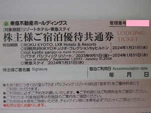 東急不動産 株主優待 ROKU KYOTO・東急ステイ・旧軽井沢KIKYO・パラオパシフィックリゾート 割引券 即決 6枚あり 期限来年1月末 その1