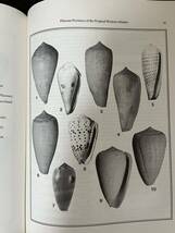 ☆ 洋書「NEOGENE HISTORY TROPICAL AMERICAN MOLLUSKS」熱帯アメリカの軟体動物=巻貝の歴史図鑑 1988 英語版_画像7