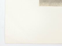 【SHIN】小泉淳作 「夏山湧雲」 銅版画　シート　ed.30/100　真作保証　値下げ交渉可　直筆サイン入り　Junsaku Koizumi_画像9