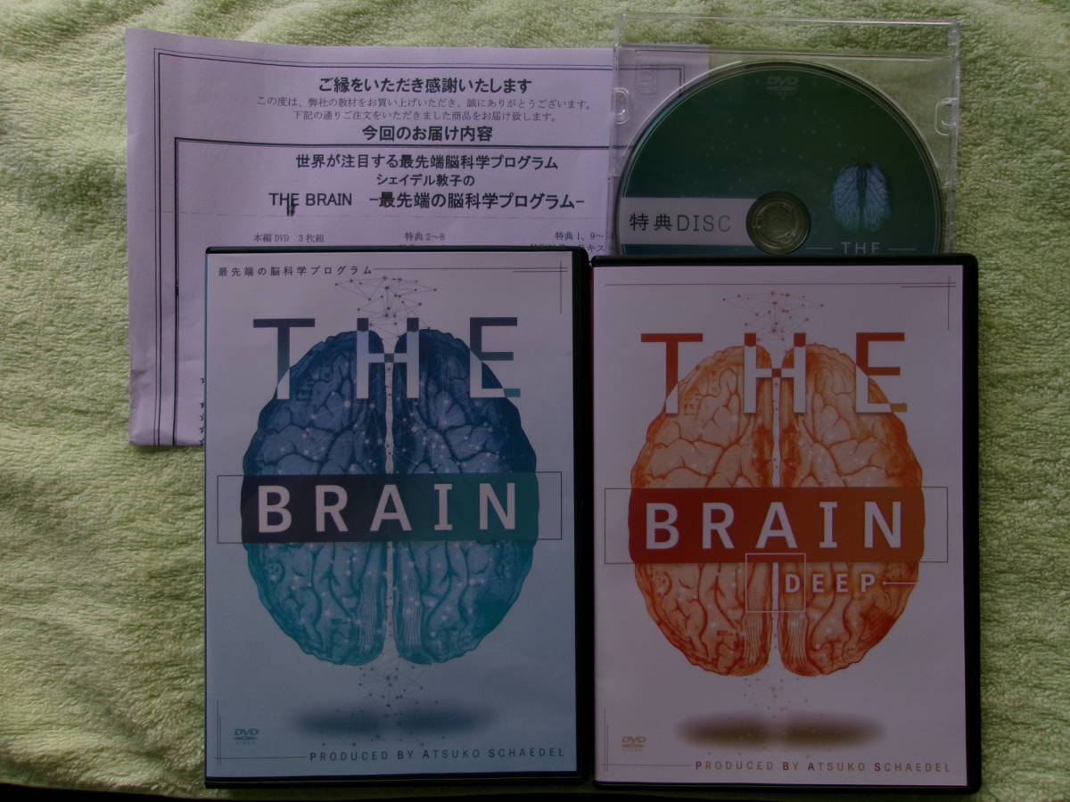 DVD全5枚 】THE BRAIN シェイデル敦子 本編DVD3枚＋特典DVD＋購入者