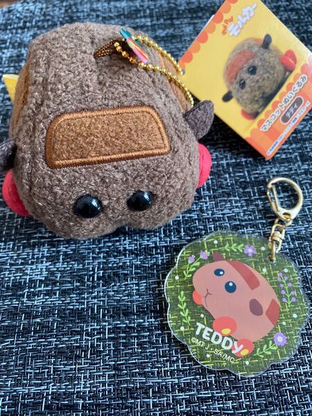 テディ ぬいぐるみマスコット&キーホルダー 2点セット/PUIPUIモルカー