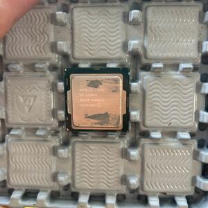 Intel Xeon E3-1220V5 動作品