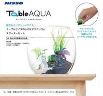 在庫処分　ニッソー　テーブルアクア　ドラムポットセット　熱帯魚・アクアリウム/水槽・アクアリウム/水槽セット_画像1