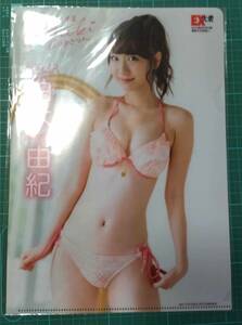 非売品 付録 EX 大衆 限定 柏木 由紀 クリアファイル B5 ゆきりん AKB48 水着 ビキニ Kashiwagi Yuki bikini pockets plastic file folder