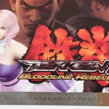 ブラスト筐体用インストカード+帯1本　鉄拳6ブラッドラインリベリオン　TEKKEN6BR　NAMCO_画像6