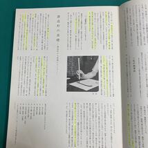 現代日本書法集成 上条信山書法 H_画像3