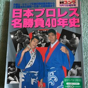 週刊ゴング 増刊号　1994年 日本プロレス名勝負40年史 平成6年10月12日号　馬場、猪木、鶴田、藤波、天龍、長州、橋本、武藤、蝶野