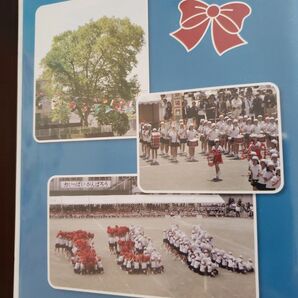 有名私立小学校 学校内運動会DVD 初期からのビニール付き 未開封 TJK tjk