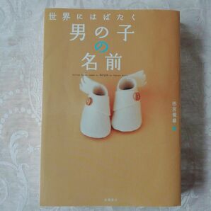 世界にはばたく男の子の名前 田宮規雄/著