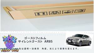 CT ZWA10 フロントドアガラス・小窓用カットフィルム　スパッタゴールド80　ブレインテック製 佐賀県