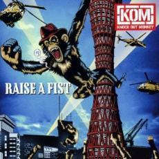 RAISE A FIST レンタル落ち 中古 CD