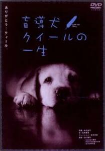 盲導犬 クイールの一生 グーッド グーッド レンタル落ち 中古 DVD