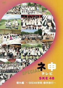 ネ申 テレビ SPECIAL 番外編 SKE48 学院 修学旅行 レンタル落ち 中古 DVD