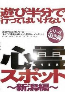 遊び半分で行ってはいけない心霊スポット 新潟編 レンタル落ち 中古 DVD ホラー