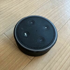 Amazon Echo Dot