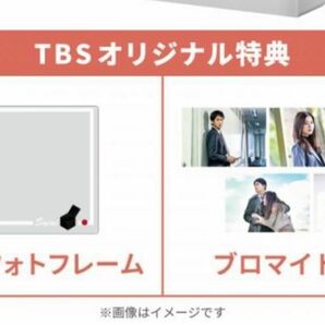 最愛（TBSドラマ）DVD オリジナル特典フォトフレーム&ブロマイドセット