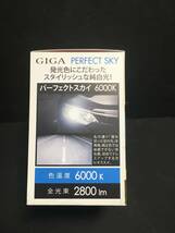 新品・即決　ＧＩＧＡ　純正交換用ＨＩＤ　ＧＨＢ２６０N　パーフェクトスカイ　６０００K　Ｄ２形状　日本製　定価=14850円　送料350円～_画像8