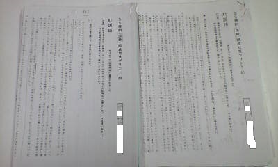 サピックス SAPIX*難関校 SS特訓 サンデーサピックス・志望校別講座(開成)*6年・国語/開成 対策プリント・全14回 完全版.