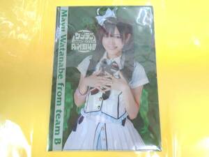 AKB48 渡辺麻友【週刊少年サンデー 全プレ クリアファイル／未開封品】