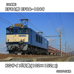 ◎KG写真【JR貨物】EF64形電気機関車 EF64-1049 ■国鉄色 □撮影:東海道本線 2021/2/8［KG0500］