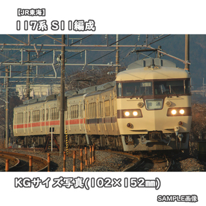 ◎KG写真【JR東海】117系電車 S11編成 ■復刻国鉄色 ■普通 □撮影:東海道本線 2013/1/13［KG0692］