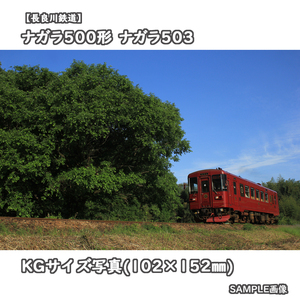 ◎KG写真【長良川鉄道】ナガラ500形気動車 ナガラ502 ■観光列車ながら川風号 □撮影:越美南線 2022/5/8［KG0766］