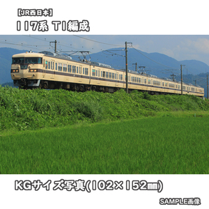 ◎KG写真【JR西日本】117系電車 T1編成 ■国鉄色 ■ひまわり号 □撮影:北陸本線 2016/6/26［KG0913］