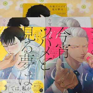 【今宵ツバメと見る夢は 上下】ここのつヒロ　アニメイト特典リーフレット、全プレリーフレット付き　初版(2022)