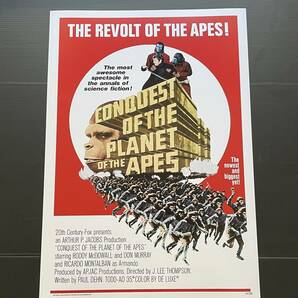 新品ポスター『猿の惑星・征服』（Conquest of the Planet of the Apes）1972年★シーザーの画像1