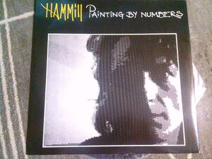 PETER HAMMIL[PAINTING BY NUMBERS] VINYL,12,UK-ORG.