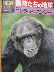 IZ0698 動物たちの地球44 1992年4月26日発行 ゴリラ チンパンジー アニマル 哺乳類 動物 オランウータン 昆虫食 ボノボ けもの 霊長目