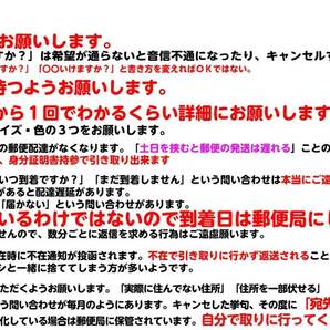 【S101】「軽トラ野郎」カッティングステッカー10~29cm＠トラック野郎デコトラアートトラックの画像6